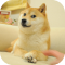 The Doge NFT